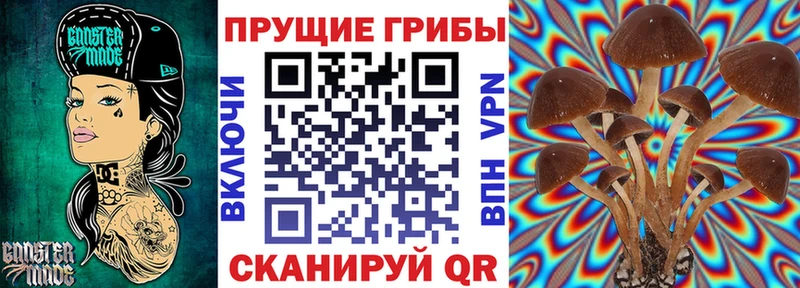Галлюциногенные грибы GOLDEN TEACHER  Купить где  Рошаль 